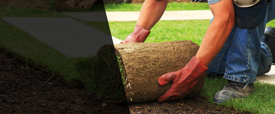 Breckenridge Landscapers